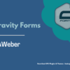 Gravity Forms AWeber Addon Pimg