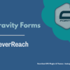 Gravity Forms CleverReach Addon Pimg