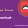 Ninja Forms CleverReach Pimg