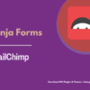 Ninja Forms MailChimp Pimg
