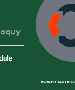 Soliloquy Schedule Addon