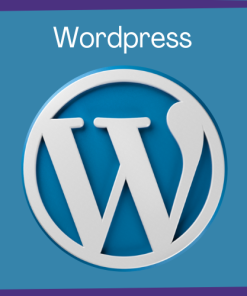 Wordpress Theme