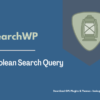 SearchWP Boolean Search Query Pimg