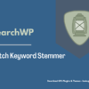 SearchWP Dutch Keyword Stemmer Pimg