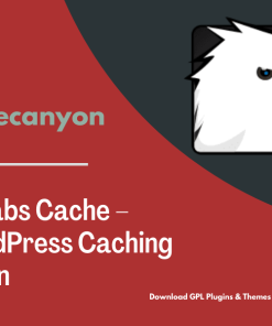 Borlabs Cache – WordPress Caching Plugin