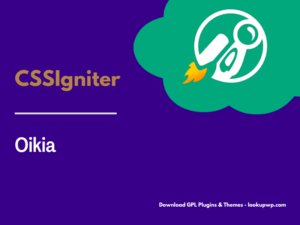CSS Igniter Oikia WordPress Theme