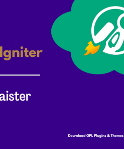 CSS Igniter Pinmaister WordPress Theme