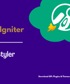 CSS Igniter The Styler WordPress Theme