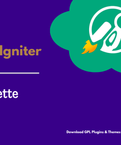 CSS Igniter Vignette WordPress Theme