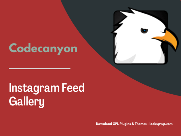 Instagram Feed Gallery — Grace for WordPress