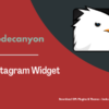 Instagram Widget – WordPress Instagram Widget Pimg
