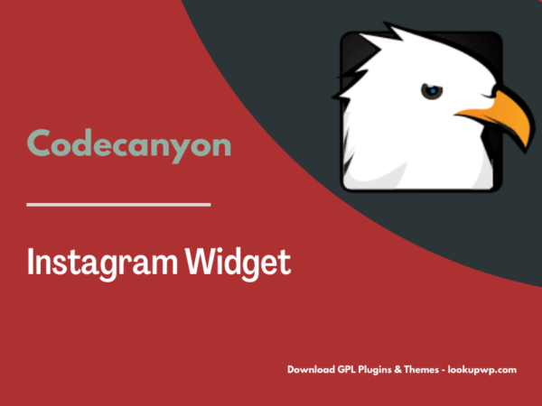 Instagram Widget – WordPress Instagram Widget Pimg