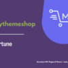 MyThemeShop Fortune WordPress Theme
