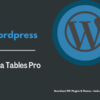 Ninja Tables Pro – The Fastest and Most Diverse WP DataTables Plugin Pimg