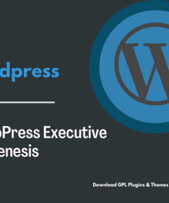 StudioPress Executive Pro Genesis WordPress Theme