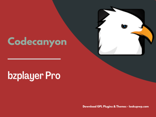 bzplayer Pro – Live Streaming Player WordPress Plugin Pimg