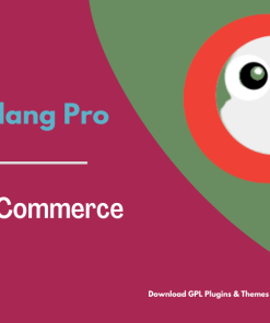 Polylang for WooCommerce