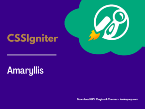 CSS Igniter Amaryllis WordPress Theme