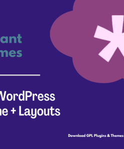 Elegant Themes Divi WordPress Theme + Layouts