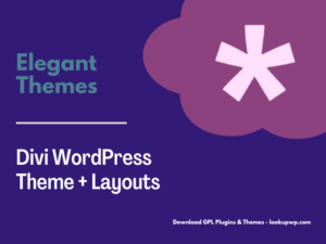 Elegant Themes Divi WordPress Theme + Layouts