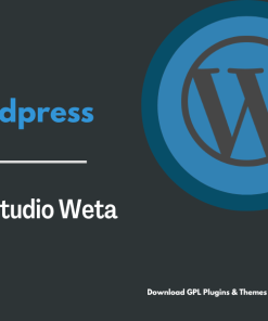 ElmaStudio Weta WordPress Theme