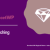 FacetWP – Caching
