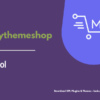 MyThemeShop Cool WordPress Theme