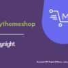 MyThemeShop Daynight WordPress Theme