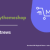 MyThemeShop Hotnews WordPress Theme