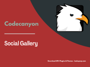 Social Gallery WordPress Photo Viewer Plugin