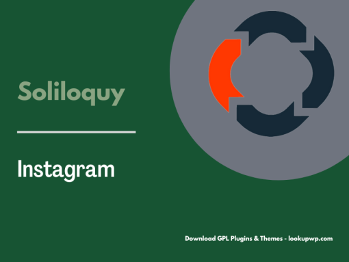 Soliloquy Instagram Addon