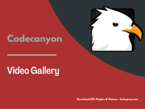 Video Gallery WordPress Plugin w YouTube, Vimeo, Facebook pages