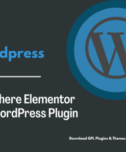 AnyWhere Elementor Pro WordPress Plugin