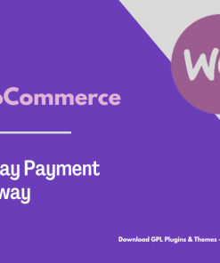 BluePay Payment Gateway