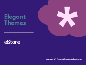 Elegant Themes eStore WooCommerce Theme