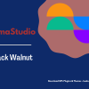 ElmaStudio Black Walnut WordPress Theme