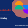 ElmaStudio Ponsonby WordPress Theme