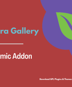 Envira Gallery – Dynamic Addon