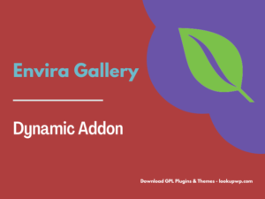 Envira Gallery – Dynamic Addon