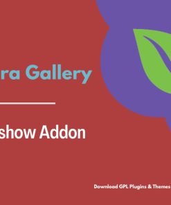 Envira Gallery – Slideshow Addon