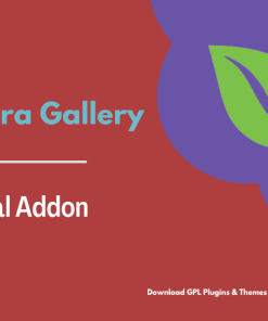 Envira Gallery – Social Addon