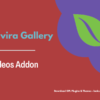 Envira Gallery – Videos Addon