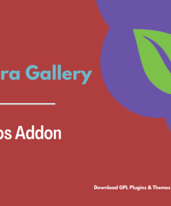 Envira Gallery – Videos Addon