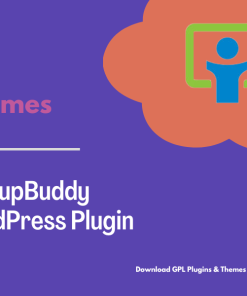 IThemes BackupBuddy WordPress Plugin