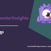 MonsterInsights – AMP Addon