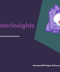 MonsterInsights – AMP Addon