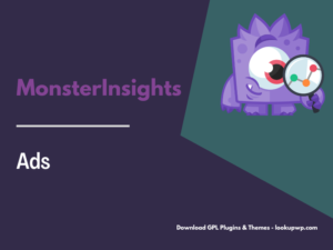 MonsterInsights – Ads Addon