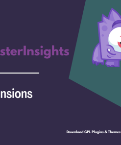 MonsterInsights – Dimensions Addon