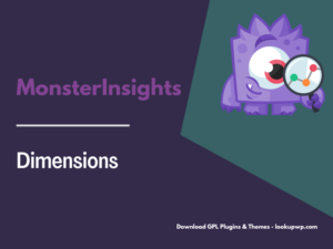 MonsterInsights – Dimensions Addon