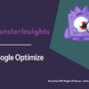 MonsterInsights – Google Optimize Addon